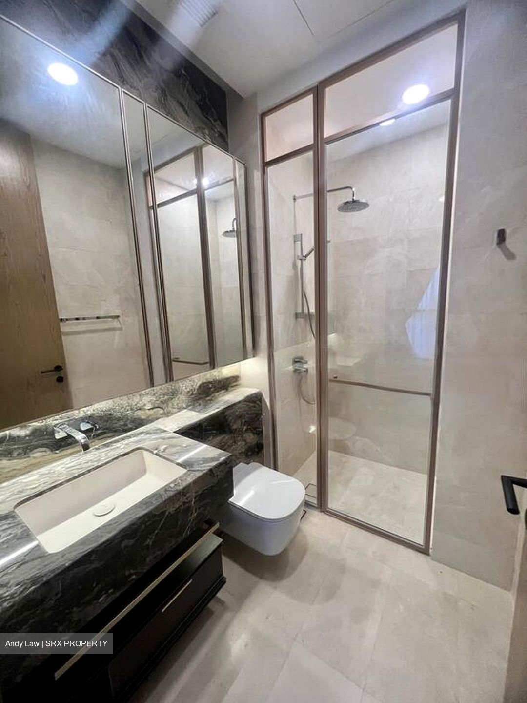 The Avenir (D9), Condominium #456090741